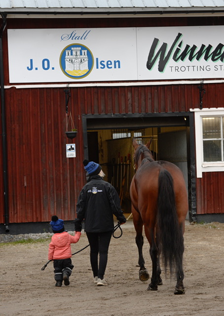 Leder in en häst i Jan Ove Olsens stall.